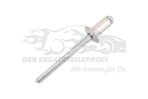 Niete Citroen / Peugeot / Opel 697305