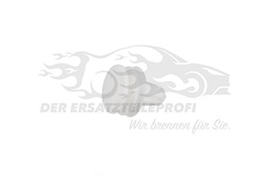 Befestigungsstopfen