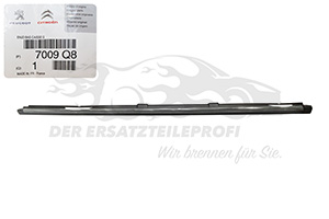 Schwellerverkleidung
