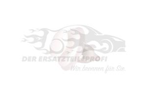 Halteclip Citroen / Peugeot / Opel 699050