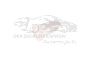 Halteklammer