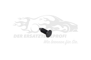 Befestigungsstopfen Citroen / Peugeot / Opel 6999CQ