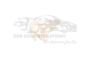 Befestigungsstopfen