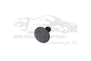 699295 Befestigungsstopfen Citroen / Peugeot / Opel