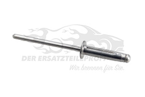 742771 DEMONTIERBARER NIET Citroen / Peugeot / Opel