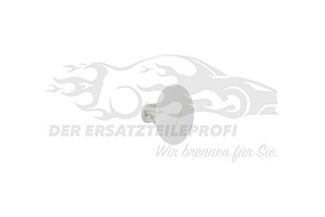 Befestigungsstopfen