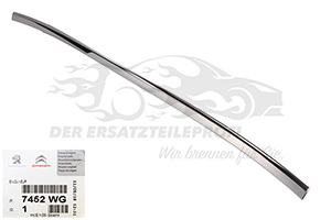 Zier- Schutzleiste für Stoßfänger Citroen 7452WG