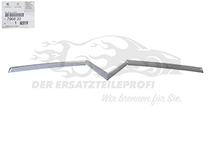 Original Citroen Zierstück für Motorhaube 