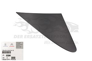 Zier- Schutzleiste für Kotflügel Citroen / Peugeot / Opel 8120W1