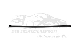 8120Y4 Zier-/Schutzleiste, Frontscheibe Citroen