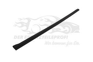 8120Y4 Zier-/Schutzleiste, Frontscheibe Citroen