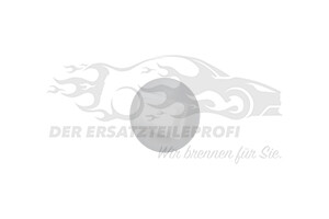 Halteklammer Citroen / Peugeot / Opel 8251EN