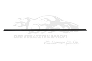 Zier- Schutzleiste für Dach