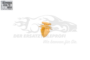 Befestigungsstopfen