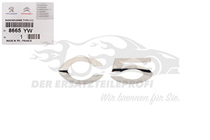 Schriftzug Citroen 8665YW