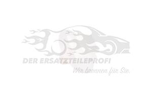 Befestigungsstopfen