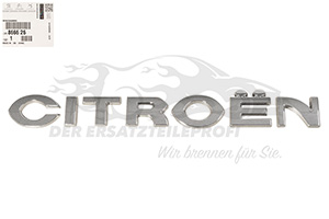 Schriftzug