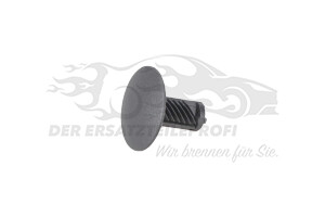 Befestigungsstopfen Citroen / Peugeot / Opel 8748Y6