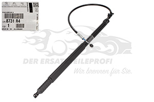 Heckklappendämpfer Citroen 8731R4
