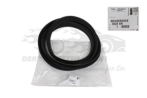 Dichtung für Türrahmen Citroen / Peugeot / Opel 9025AN