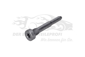 Bolzen für Türscharnier Citroen / Peugeot / Opel 904434