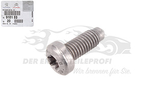 Schraube für Kupplungsdruckplatte Citroen / Peugeot / Opel 9181E0