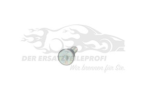 904447 Bolzen, Türfangband Citroen / Peugeot / Opel