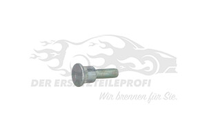 904447 Bolzen, Türfangband Citroen / Peugeot / Opel