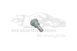 904447 Bolzen, Türfangband Citroen / Peugeot / Opel