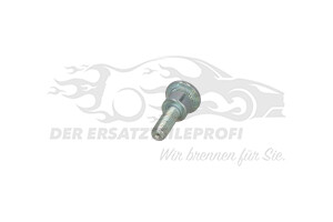 904447 Bolzen, Türfangband Citroen / Peugeot / Opel