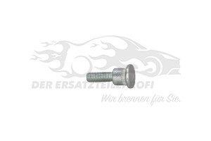 904447 Bolzen, Türfangband Citroen / Peugeot / Opel