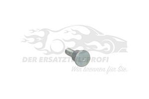 Bolzen für Türfangband Citroen / Peugeot / Opel 904447