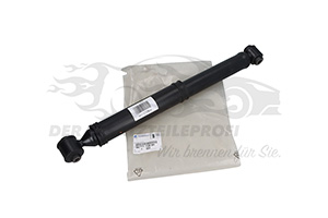 Stoßdämpfer Citroen / Peugeot / Opel 9677172880