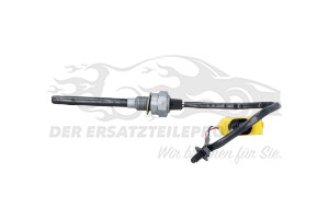 9802028080 Sensor, Motorölstand Citroen / Peugeot / Opel