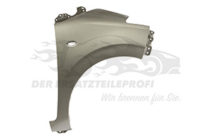 Kotflügel Citroen B000910980