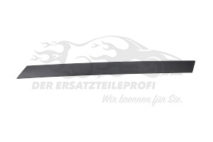 Zier- Schutzleiste für Türscheibe Peugeot 9674074980