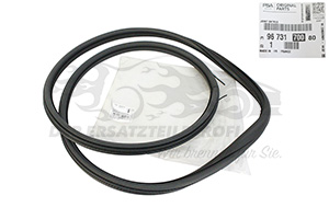 Dichtung für Türrahmen Peugeot 9673170080