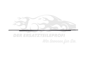 Zier- Schutzleiste für Türscheibe Peugeot 98004074TV