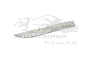 16100160DX Zier-/Schutzleiste, Tür Peugeot