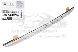 Zierblende Peugeot 9673845780