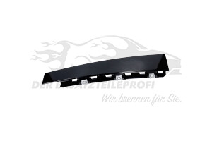 Zier- Schutzleiste für Türscheibe Peugeot 96732871XK