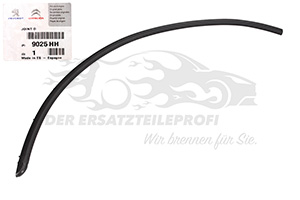 9025HH Türdichtung Peugeot