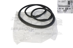 Dichtung für Heckklappe Peugeot 9678350380