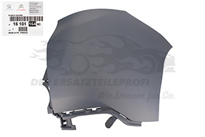 Stoßstange Peugeot 1610116480