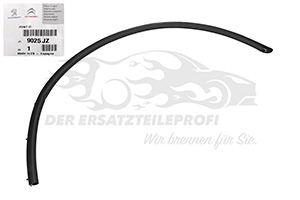 9025JZ Türdichtung Peugeot