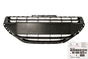 Lüftungsgitter für Stoßstange Peugeot 9808676480