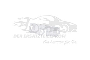 Halteklammer Peugeot 812391