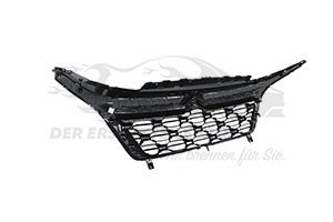 1613256780 Kühlergitter Citroen