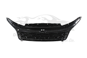 1613256780 Kühlergitter Citroen
