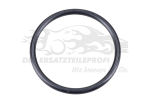 Dichtung für Wasserpumpe Fiat 17289680